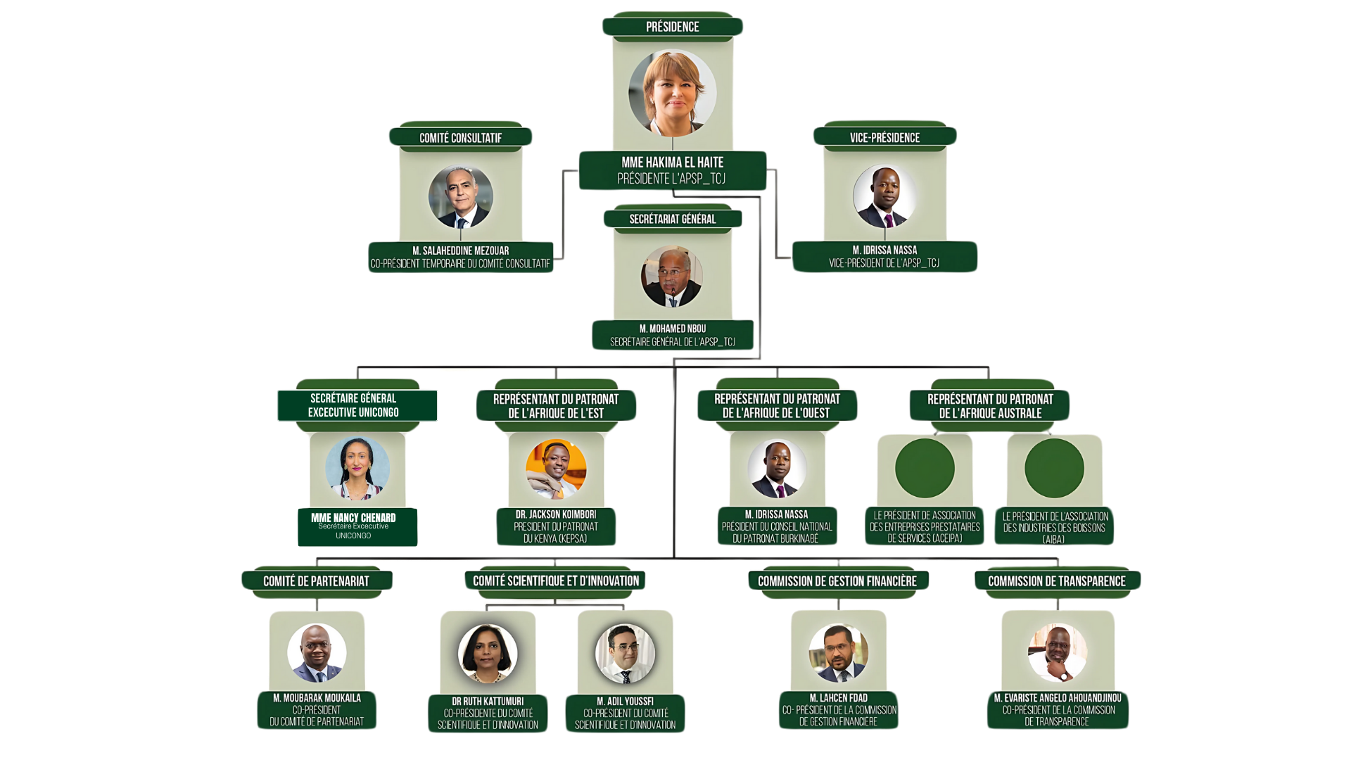 organigramme africa pact
